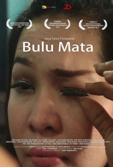 Eyelashes poster