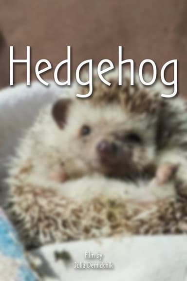 Hedgehog poster