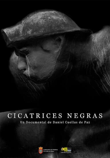 Cicatrices negras poster