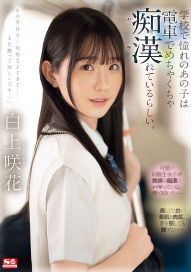 学校で憧れのあの子は電車でめちゃくちゃ痴漢(ヤラ)れているらしい。 poster