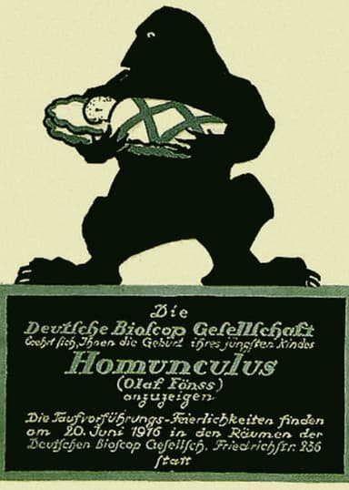 The Love Tragedy of the Homunculus poster