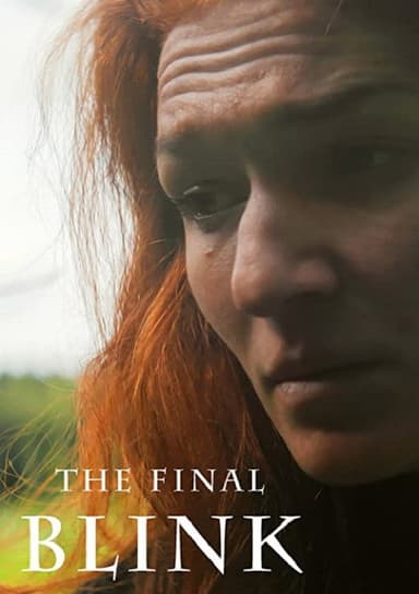 The Final Blink poster