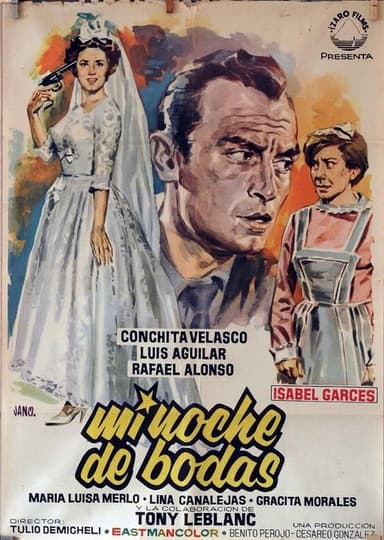 Mi noche de bodas poster
