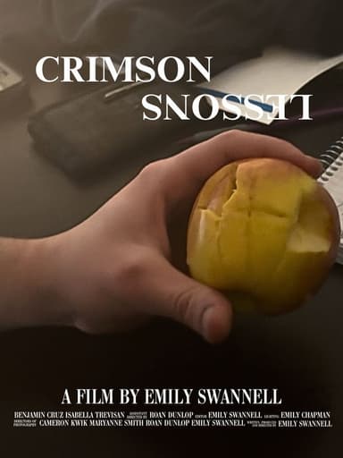 Crimson Lessons poster