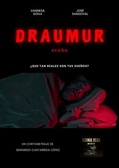 Draumur (sueño) poster