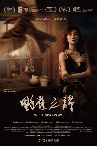 Wild Sparrow poster