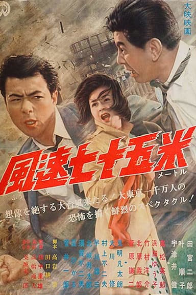 Typhoon Reporter poster