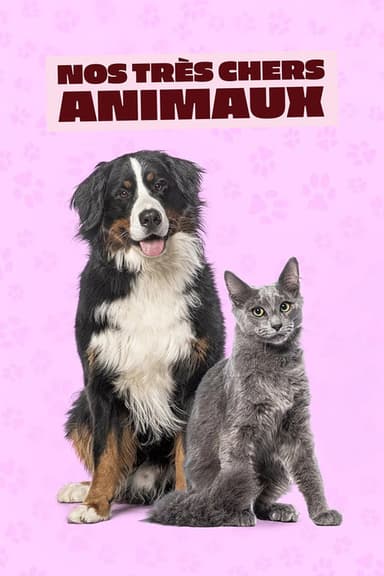 Nos très chers animaux poster
