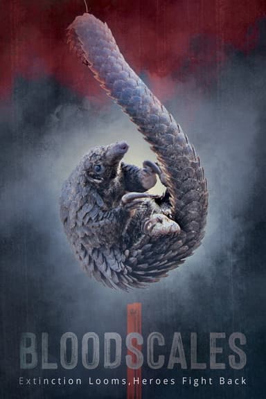 Blood Scales poster