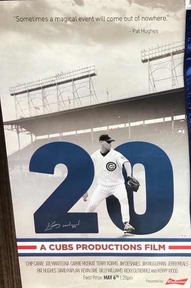 20 poster