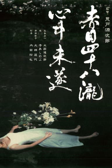 Akame 48 Waterfalls poster