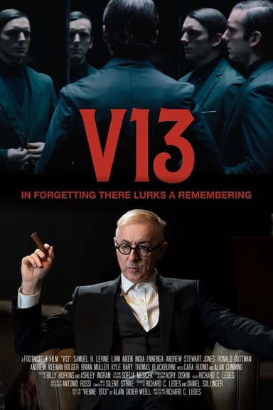 V13 poster