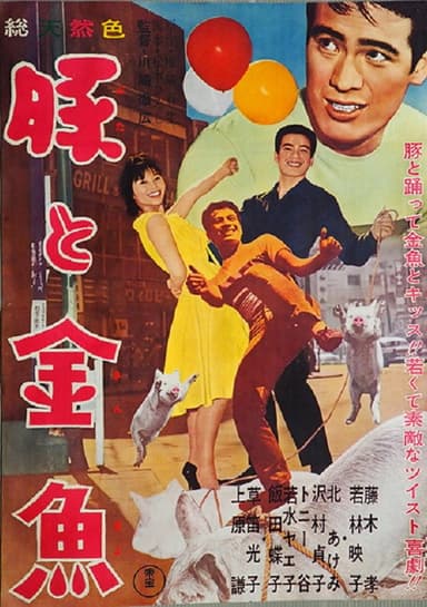 Pig and Goldfish poster