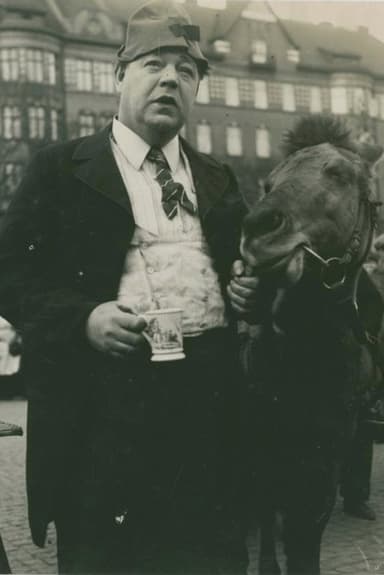 Vad kvinnan vill poster