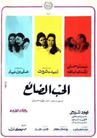The Lost Love poster
