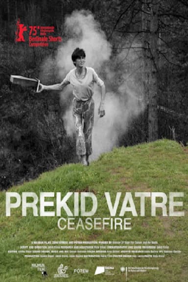 Ceasefire poster