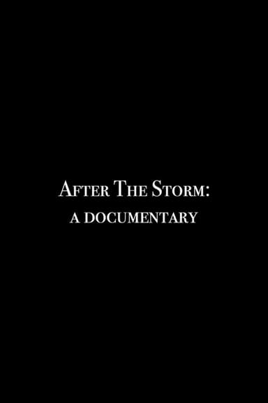 After the Storm: A Documentary poster
