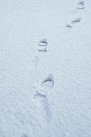 Terza passeggiata - Sulla neve poster