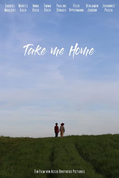 Take me Home poster
