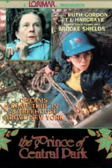 The Prince of Central Park poster