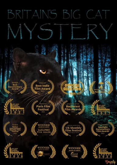 Britain's Big Cat Mystery poster