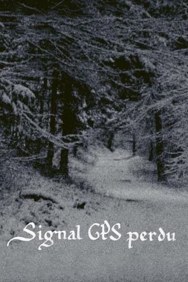 GPS Signal Lost poster