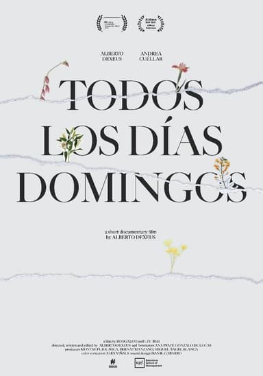 Everyday Is Like Sunday poster