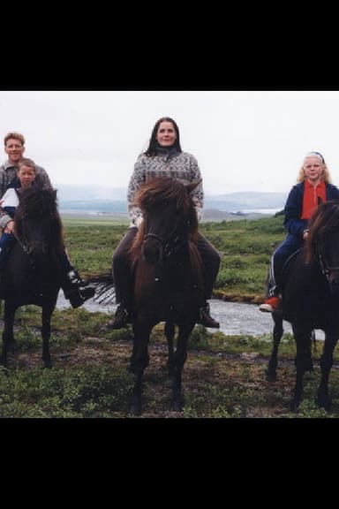 A Midsummer´s Journey - A view of Iceland poster