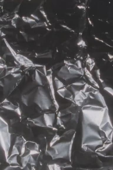 Silver Screen poster