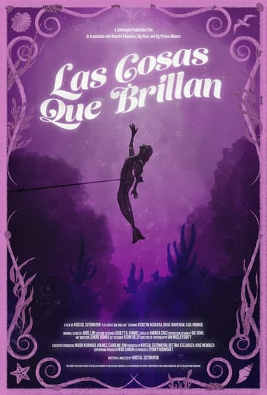 Las Cosas Que Brillan poster