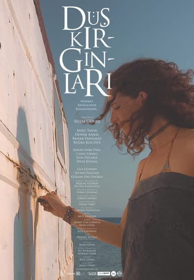 Düş Kırgınları poster
