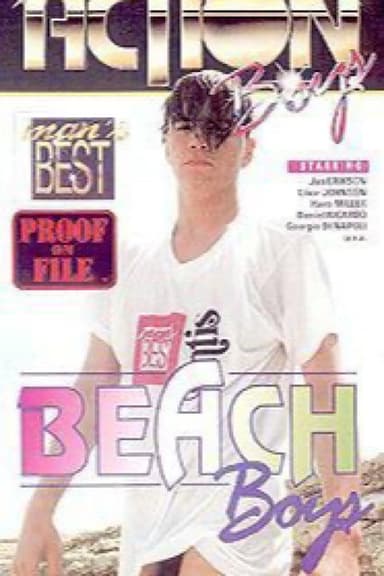 Beach Boys poster
