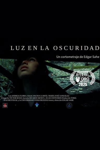 Luz en la oscuridad poster