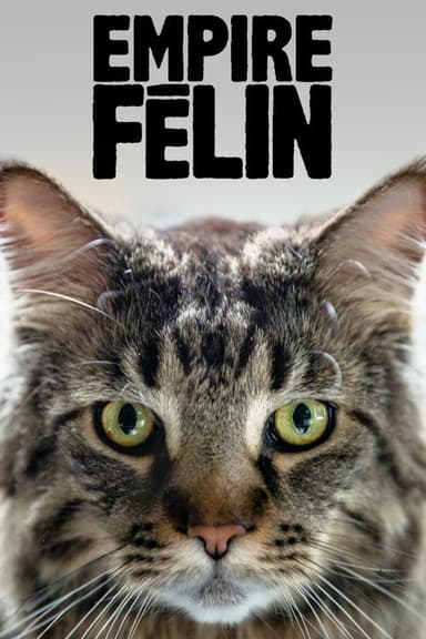 Cat Empire poster