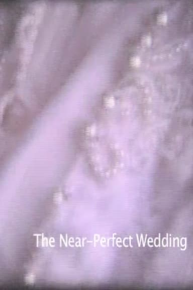 Near-Perfect Wedding poster