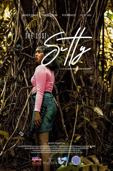 The Lost Sitty poster