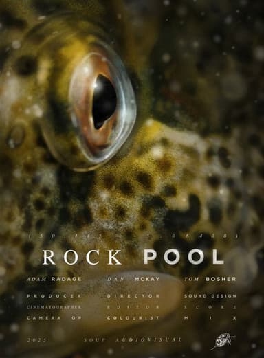 ROCK POOL poster