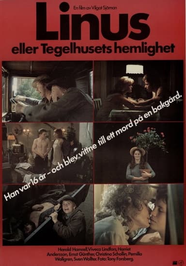 Linus eller Tegelhusets hemlighet poster