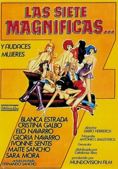 The Seven Magnificent and Bold Women poster
