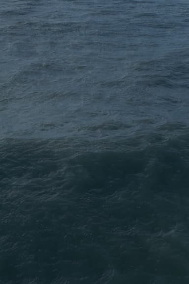 Twenty Nine Minutes at Sea poster