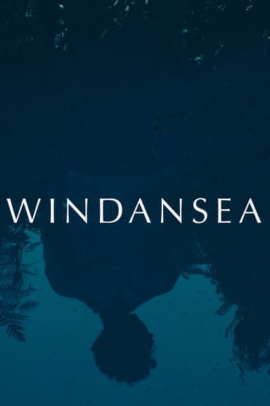 Windansea poster