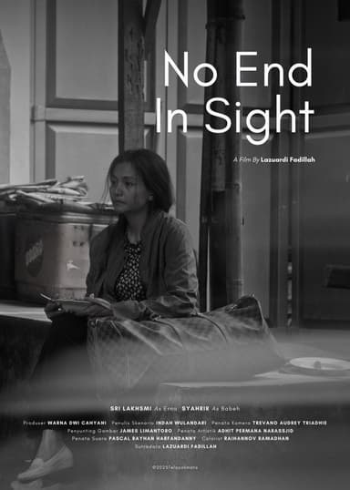 No End in Sight poster