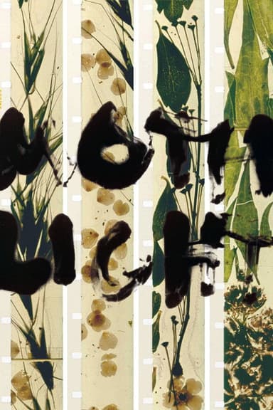 Mothlight poster