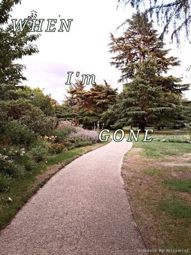When I'm Gone poster