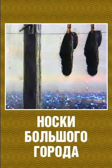 Big City Socks poster