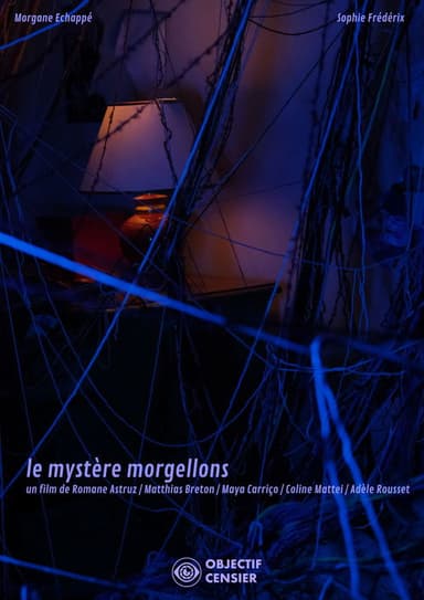The Mystery of Morgellons poster