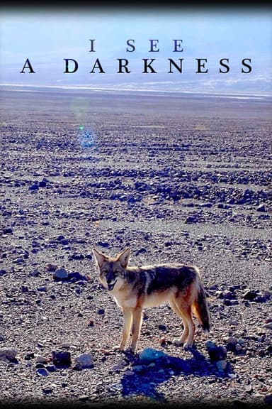 I See a Darkness poster