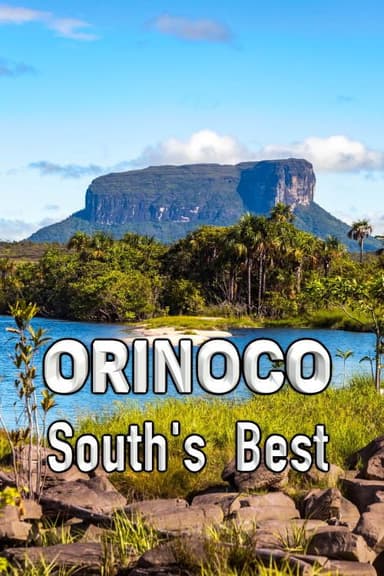 Orinoco, South's Best poster