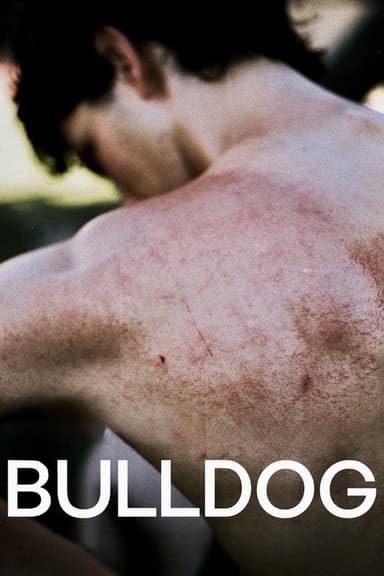 Bulldog poster