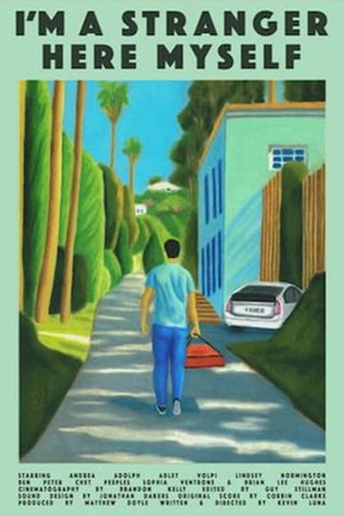 I'm a Stranger Here Myself poster
